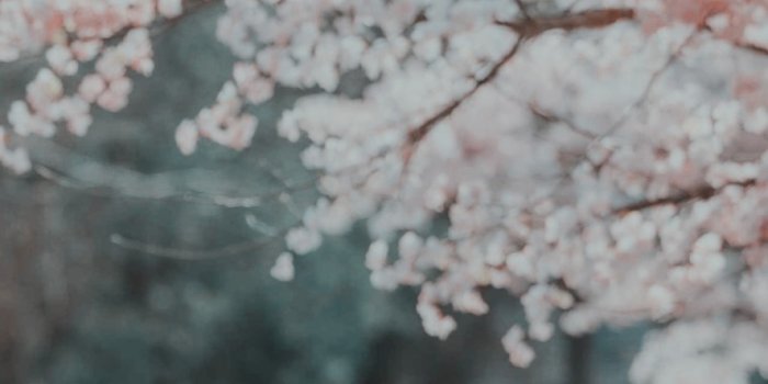 887x1920 kdrama icons