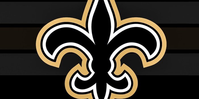 1242x2688 New Orleans Saints iPhone Wallpapers