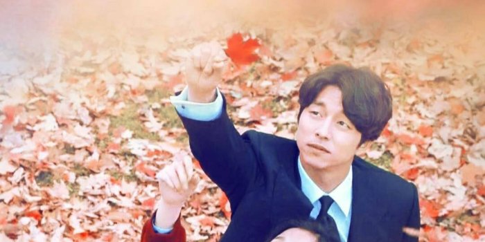 1080x1920 Download Korean Drama Goblin Maple Scene Wallpaper | Wallpapers.com