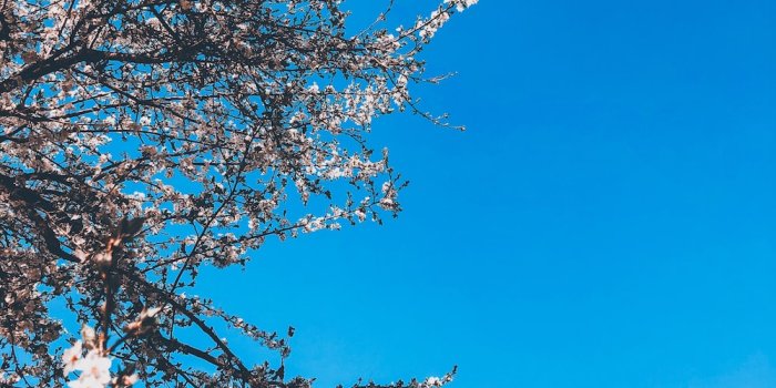 1000x1333 Korean Drama Pictures | Download Free Images on Unsplash