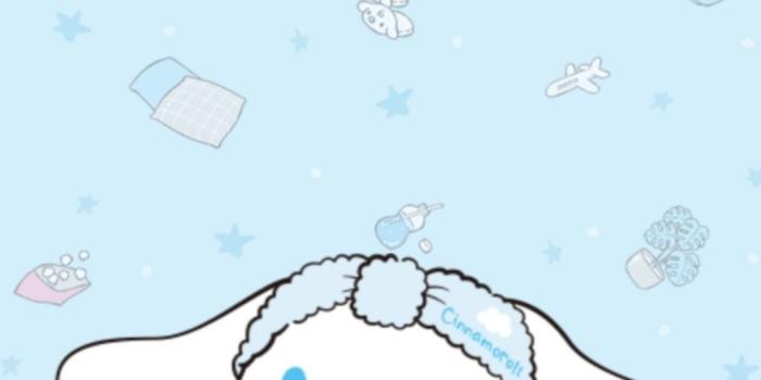 1080x1920 Cinnamoroll Wallpapers - Top 30 Best Cinnamoroll Wallpapers Download