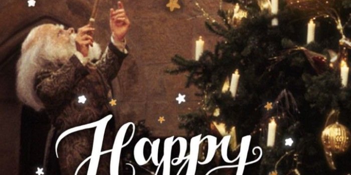 720x1356 HarryPotter Christmas backgrounds | Harry potter christmas, Harry potter  wallpaper, Christmas wallpaper