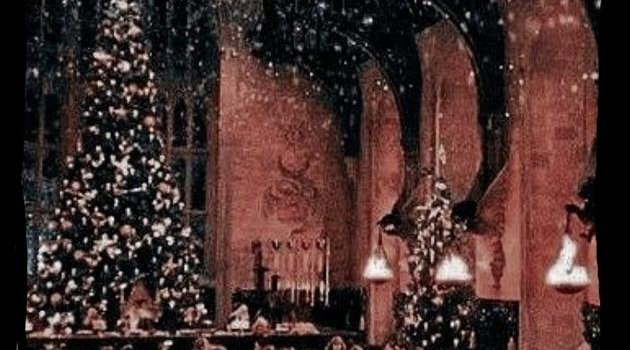 630x1280 Harry Potter Christmas wallpaper by Ivy6292 - Download on ZEDGE™ | 2750