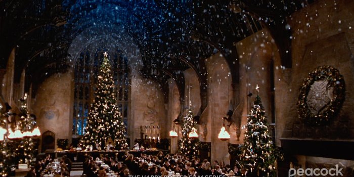 1920x1080 Peacock on Twitter: 