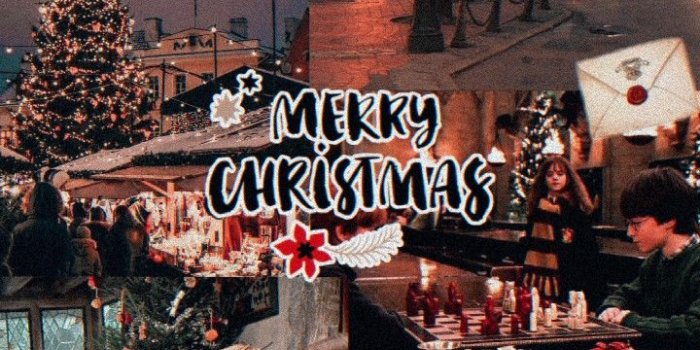720x1344 Harry Potter Christmas aesthetic | Hogwarts christmas, Harry potter  christmas, Christmas phone wallpaper