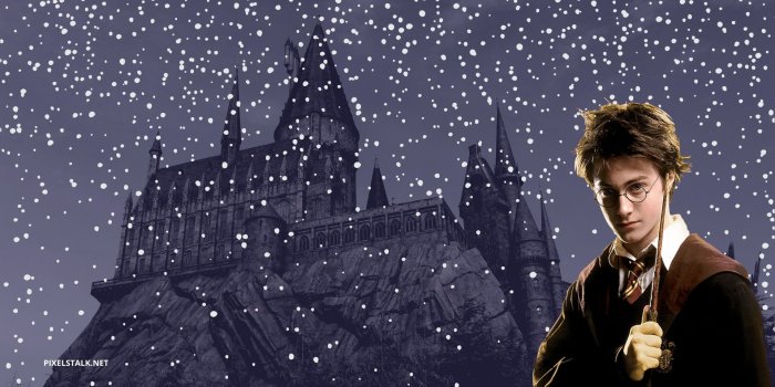 1920x1080 Harry Potter Winter Wallpapers HD - PixelsTalk.Net