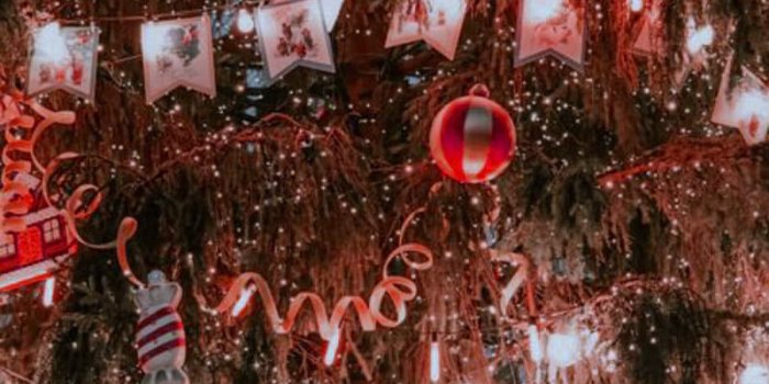 800x1732 Harry Potter Christmas Wallpaper - NawPic