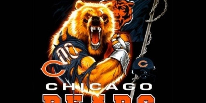 1024x768 64 Chicago Bears Wallpapers & Backgrounds For FREE | Wallpapers.com