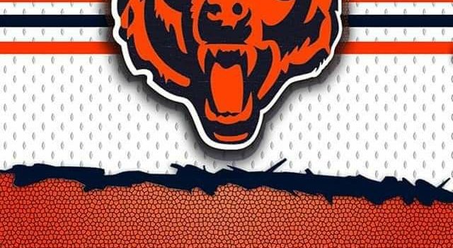 640x1382 Norman Medina on My Bears | Chicago bears wallpaper, Chicago bears  logo, Chicago bears football