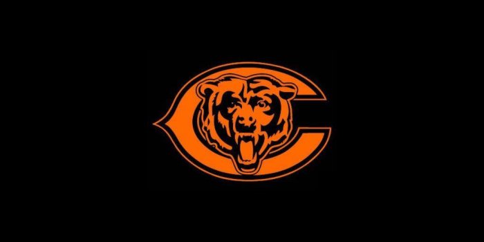 1024x768 Chicago Bears HD Wallpapers