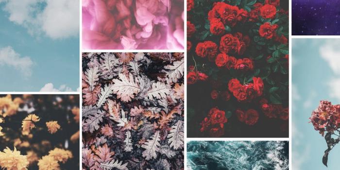 1730x1155 Top 25 Most Popular Preppy iPhone Wallpapers of 2019 | Preppy Wallpapers