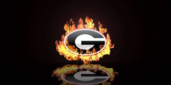 1920x1280 Download Burning Georgia Bulldogs Wallpaper | Wallpapers.com