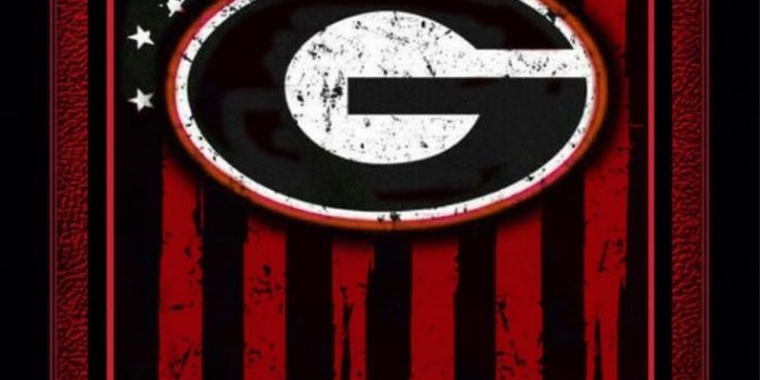 736x1594 Gerhard Orlet on DAWGS | Georgia dawgs, Georgia bulldogs football,  Bulldog wallpaper