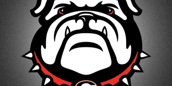 1080x1920 UGA Logo Wallpapers and Backgrounds 4K, HD, Dual Screen