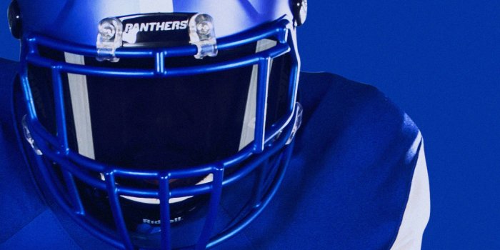 1242x2208 Georgia State Phone Wallpapers - Georgia State University