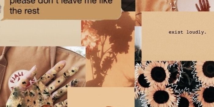 720x1280 BELLE AESTHETIC WALLPAPER in 2022 | Disney collage, Beauty and the beast  wallpaper, D… | Disney collage, Beauty and the beast wallpaper, Disney  beauty and the beast