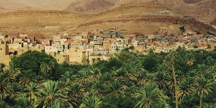 1000x1494 aerial view of trees and buildings during daytime photo – Free Morocco  Image on Unsplash
