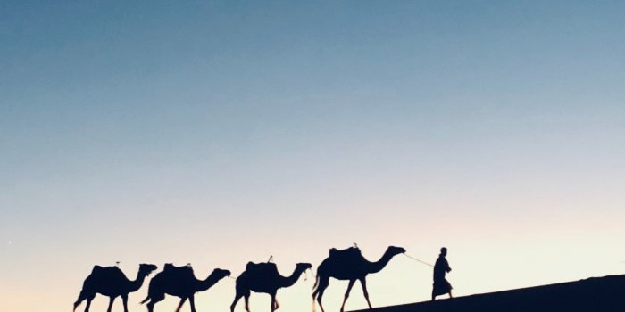 1125x2436 Download wallpaper 1125x2436 silhouette, sunset, camel, morocco, iphone x,  1125x2436 hd background, 15875