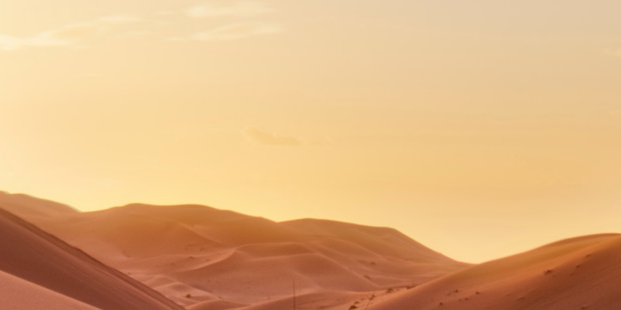 1242x2688 Morocco Wallpaper for iPhone 11, Pro Max, X, 8, 7, 6 - Free Download on  3Wallpapers