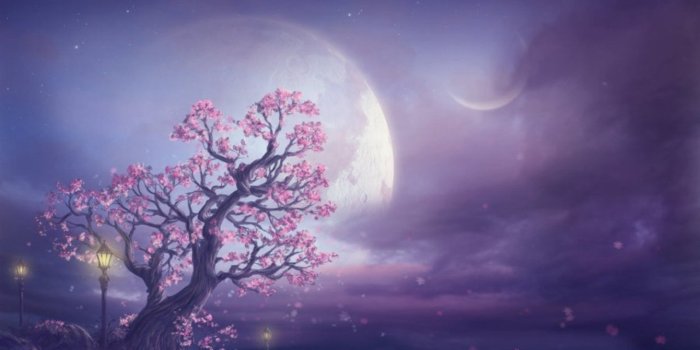 1920x1200 Pink Tree Moon & Purple Sky wallpapers | Pink Tree Moon & Purple Sky stock  photos
