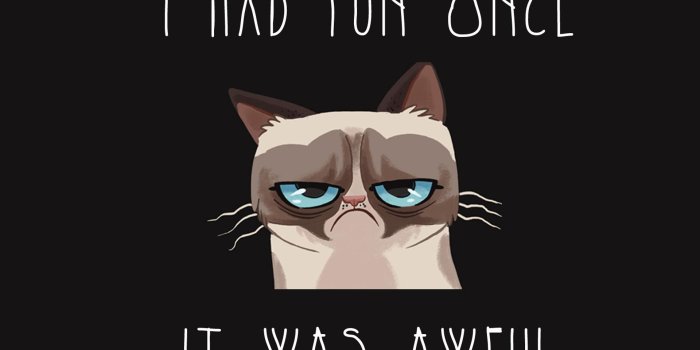 1920x1408 Funny cat - run once and it was awful