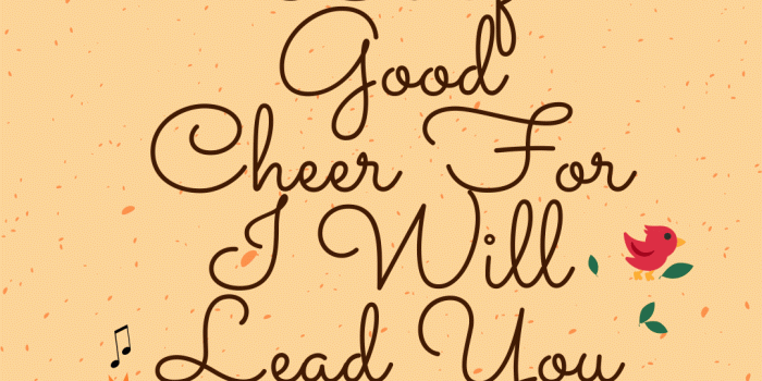 1080x1920 Be of Good Cheer Phone Wallpapers – Bee The Light