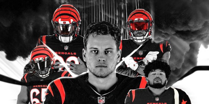 1242x2208 Cincinnati Bengals Wallpapers