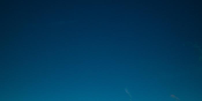 1000x1500 Strong | 100+ best free strong, wallpaper, grey and background photos on  Unsplash