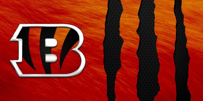1920x1080 Wallpapers Cincinnati Bengals - 2022 NFL Football Wallpapers | Cincinnati  bengals, Bengals, Cincinnati bengals football