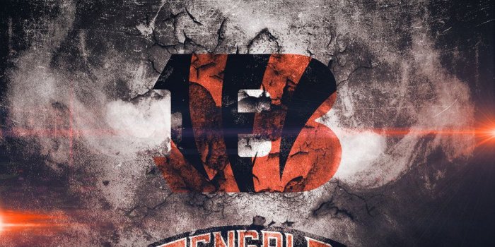 999x799 Cincinnati Bengals Wallpaper by Jdot2daP on deviantART | Cincinnati bengals,  Bengals, Cincinnati bengals football