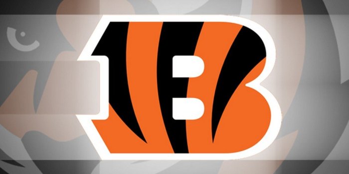 1080x1920 Cincinnati Bengals 2022 Wallpapers