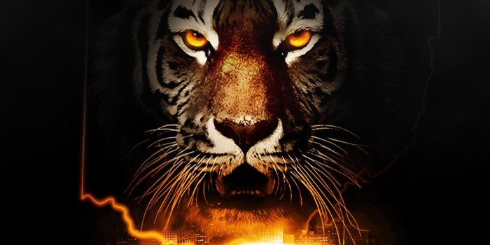 1124x2000 Bengals Wallpaper Design I made this week : r/bengals