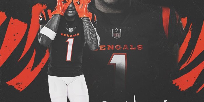 1080x1920 Bengals Football Wallpapers