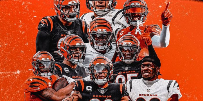 1152x2048 made some afc north title wallpapers! who dey. : r/bengals