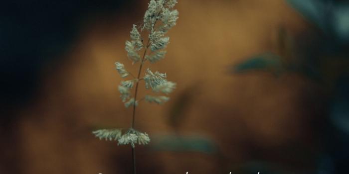 1080x1920 Be strong in the Lord mobile wallpaper - Believers4ever.com