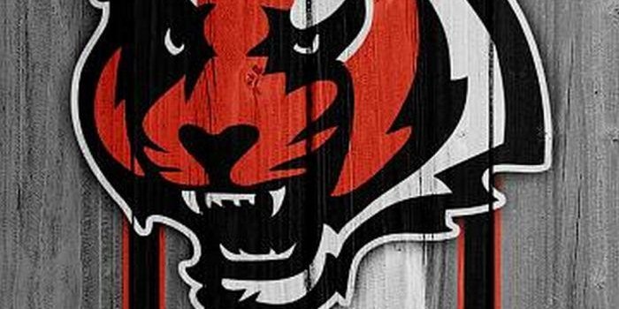 700x1244 Cincinnati Bengals iPhone XS Wallpaper - 2020 NFL Wallpaper | Bengals,  Cincinnati bengals football, Cincinnati bengals