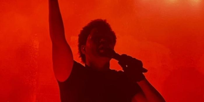 736x1308 the weeknd aesthetic wallpaper | Imagenes de cantantes, Concierto, Starboy  the weeknd