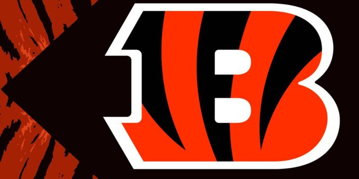 1130x1920 Free Cincinnati Bengals Wallpaper Downloads, [43+] Cincinnati Bengals  Wallpapers for FREE | Wallpapers.com