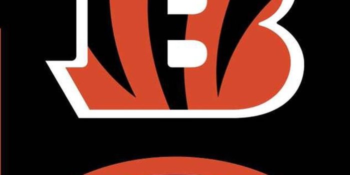 1011x1920 Free Cincinnati Bengals Wallpaper Downloads, [43+] Cincinnati Bengals  Wallpapers for FREE | Wallpapers.com