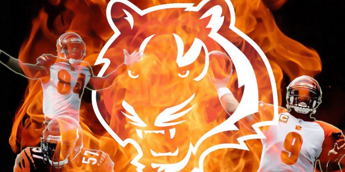 1600x1200 cincinnati, Bengals, Nfl, Football Wallpapers HD / Desktop and Mobile  Backgrounds