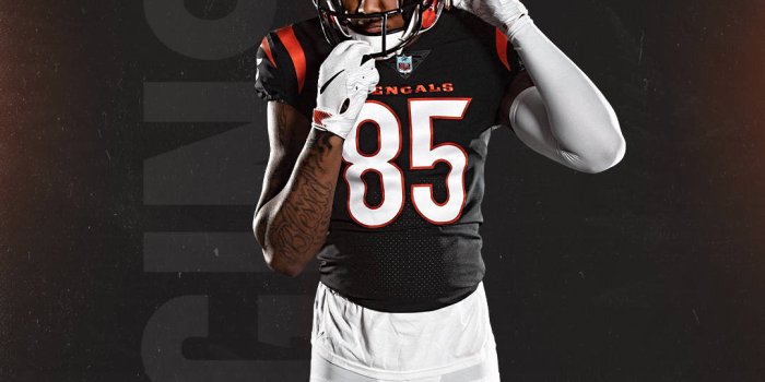 1080x1920 Download Cincinnati Bengals Tee Higgins Wallpaper | Wallpapers.com