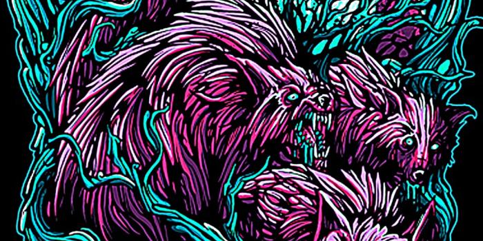 1066x1600 49+] Four Year Strong Wallpaper - WallpaperSafari