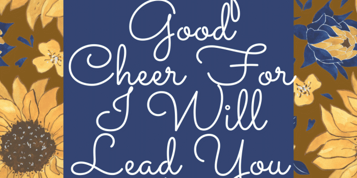 1080x1920 Be of Good Cheer Phone Wallpapers – Bee The Light