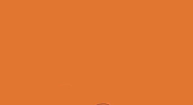 640x1385 Charmander wallpaper I made. I know its simple af but I couldn't find  anything like it. (size Is for the 12 pro max so may not scale correctly to  your phone) :