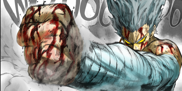 1661x1160 garou - One Punch Man Wallpaper (43583660) - Fanpop