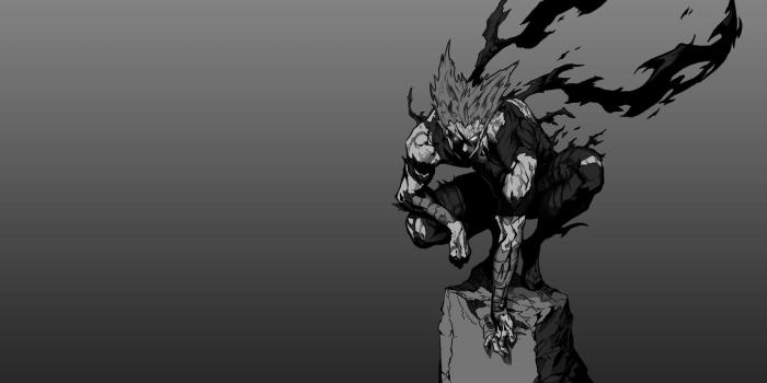 1920x1080 One Punch Man Garou Wallpapers - Top Free One Punch Man Garou Backgrounds -  WallpaperAccess
