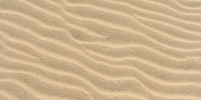 1000x1333 Yellow Sand Pictures | Download Free Images on Unsplash