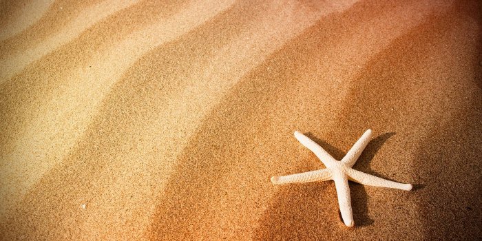 1920x1200 Sand Wallpapers