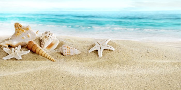 4845x3518 59+] Beach Sand Wallpaper - WallpaperSafari