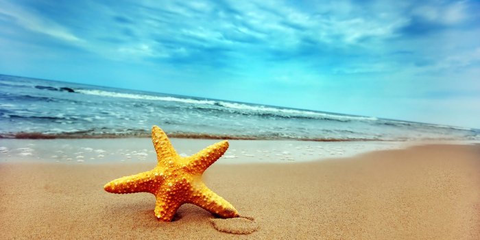 2560x1600 47+ Beach Images for Backgrounds